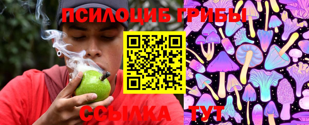 Псилоцибиновые грибы мухоморы Волжский
