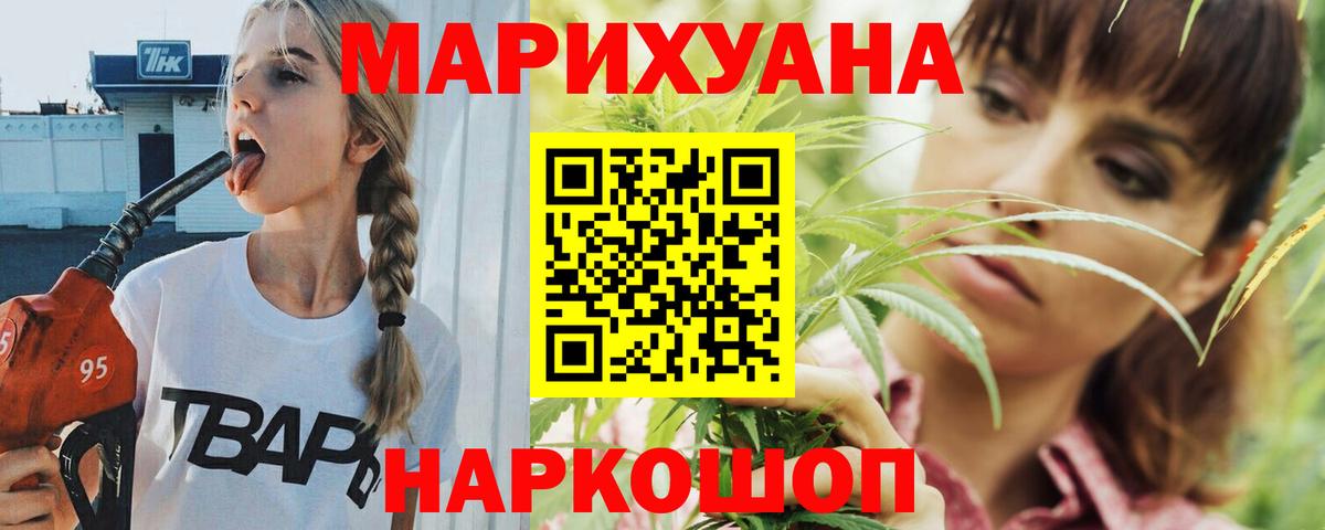 Конопля гибрид Волжский